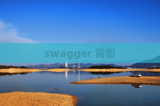swagger 背影